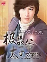 《极品太子爷》小说封面