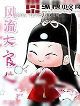 《风流大官人》小说封面