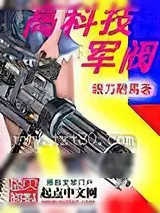 《高科技军阀》小说封面