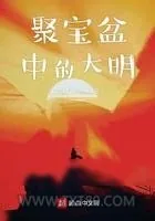 《聚宝盆中的大明》小说封面