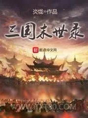 《三国末世录》小说封面