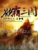 《欲霸三国》小说封面