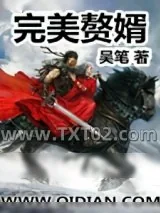 《完美赘婿》小说封面