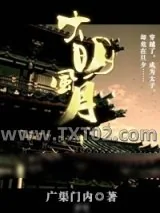 《大明风月》小说封面