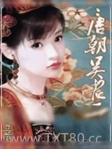 《大唐顺宗（唐朝吴老二）》小说封面