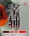 《宰辅》小说封面