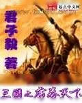 《三国之席卷天下》小说封面
