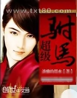 《超级驸马》小说封面