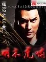 《明末虎啸》小说封面