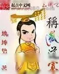 《三国之称孤道寡》小说封面