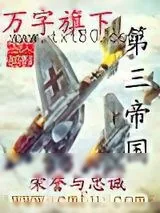 《万字旗下的第三帝国》小说封面