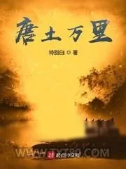 《唐土万里》小说封面