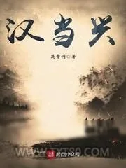 《汉当兴》小说封面