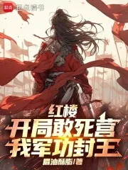 《红楼：开局敢死营，我军功封王》小说封面