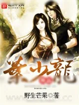 《极品叶少龙》小说封面
