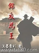 《锦衣为王》小说封面