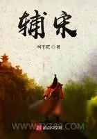 《辅宋》小说封面