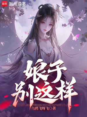 《娘子，别这样！》小说封面