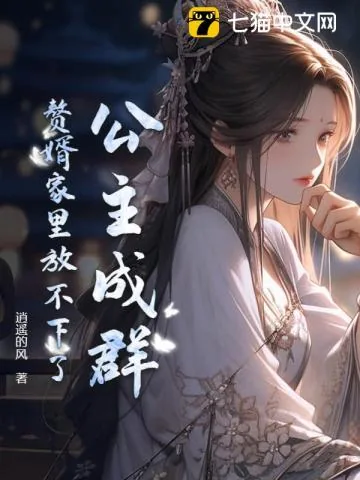 《公主成群，赘婿家里放不下了》小说封面