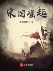 《宋国崛起》小说封面
