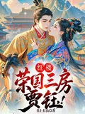 《红楼：荣国三房，贾珏！》小说封面