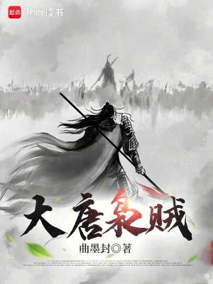 《大唐枭贼》小说封面