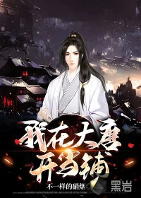 《我在大唐开当铺》小说封面