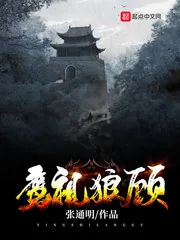 《鹰视狼顾》小说封面