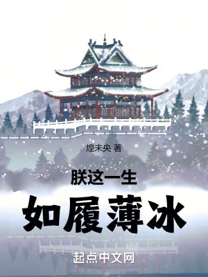 《朕这一生，如履薄冰》小说封面