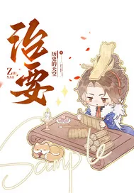《治要》小说封面