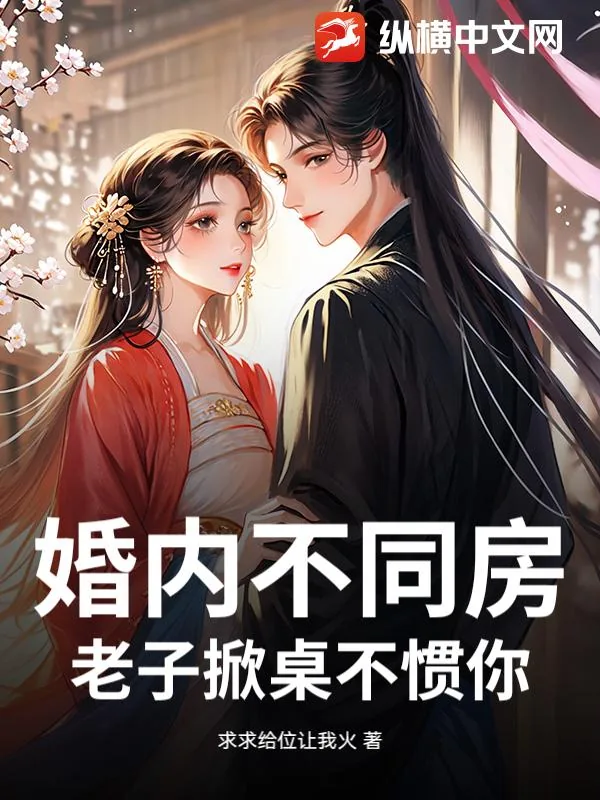 《婚内不同房，老子掀桌不惯你！》小说封面