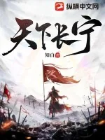 《天下长宁》小说封面