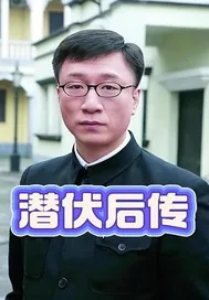 《潜伏后传》小说封面