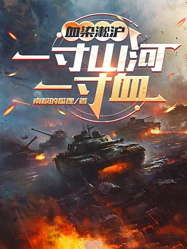 《血染淞沪：一寸山河一寸血》小说封面