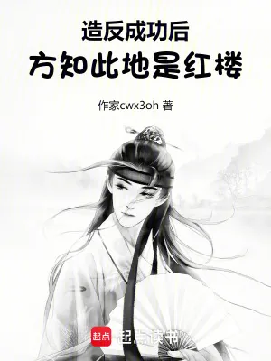 《造反成功后，方知此地是红楼》小说封面