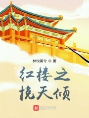 《红楼之挽天倾》小说封面