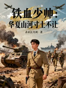《铁血少帅：华夏山河寸土不让》小说封面