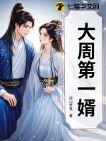 《大周第一婿》小说封面