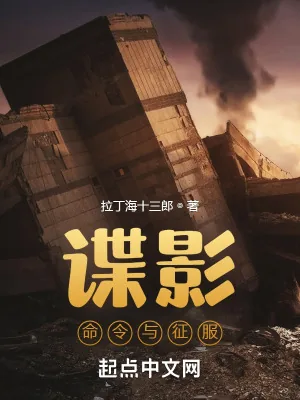 《谍影：命令与征服》小说封面