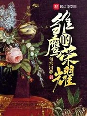 《雏鹰的荣耀》小说封面