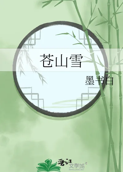 《苍山雪》小说封面