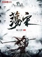 《荡宋》小说封面