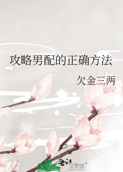 《攻略男配的正确方法》小说封面