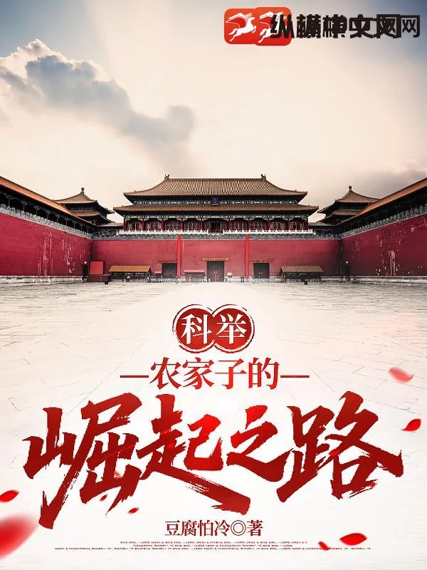 《科举：农家子的崛起之路》小说封面