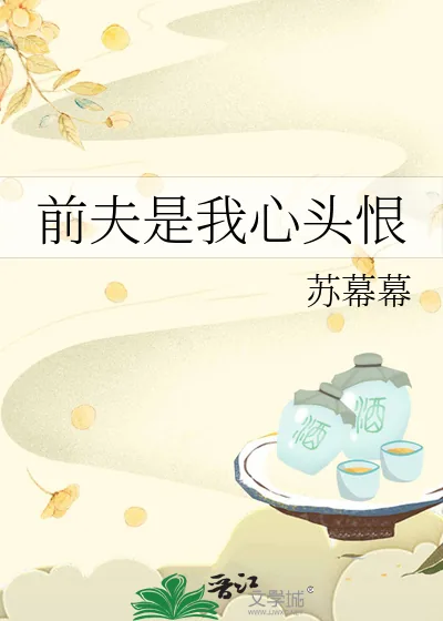 《前夫是我心头恨》小说封面