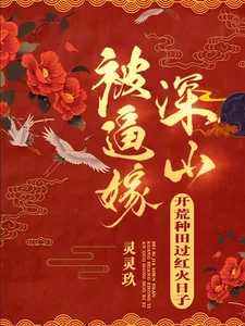 《被逼嫁深山，开荒种田过红火日子》小说封面