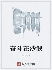 《奋斗在沙俄》小说封面