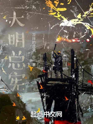 《大明总宪》小说封面