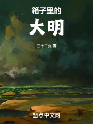 《箱子里的大明》小说封面