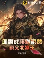 《助妻成将嫌家贫？家父北凉王》小说封面